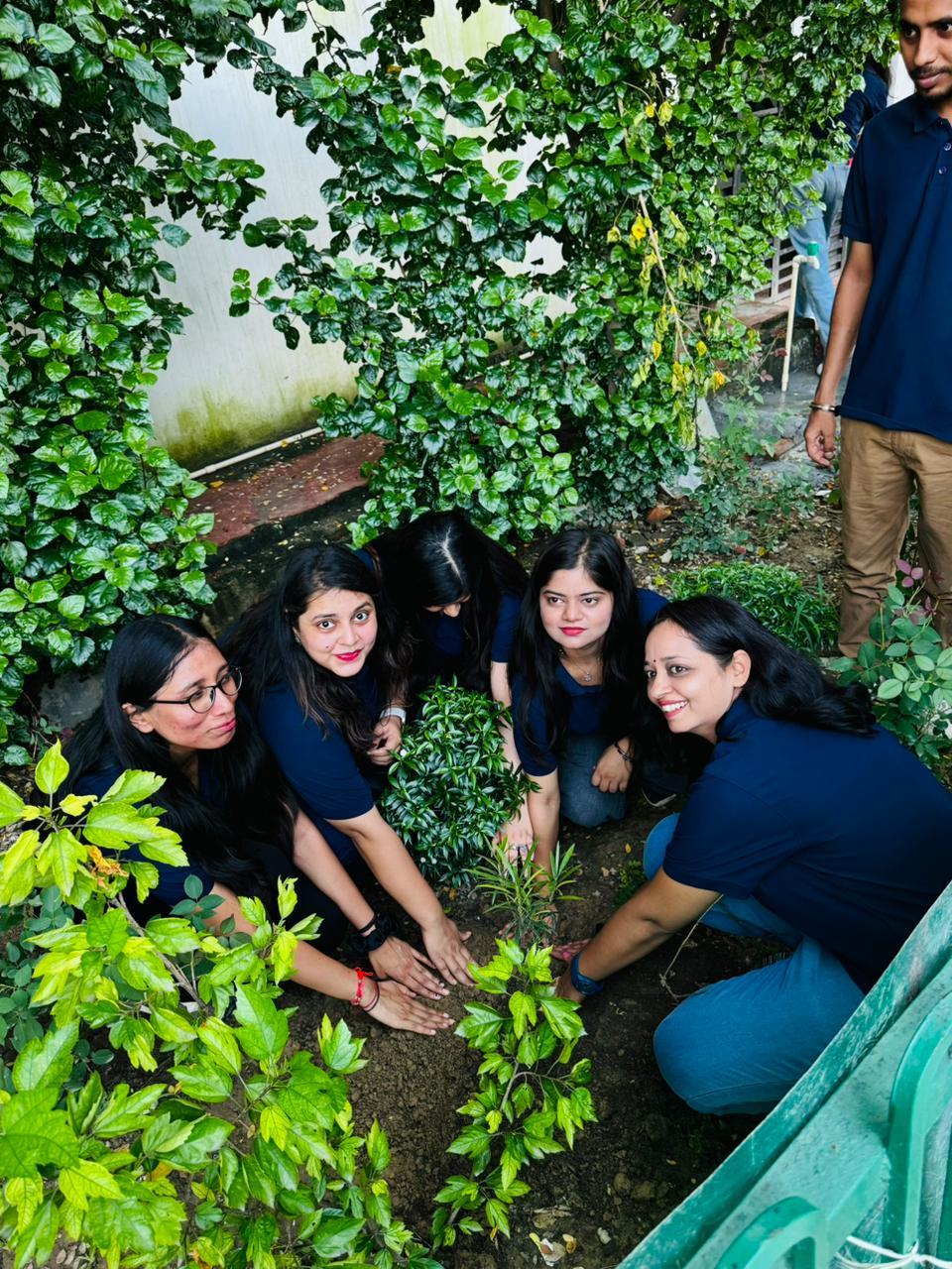 Tree Plantation Drive